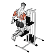 跪姿辅助肱三头肌臂屈伸